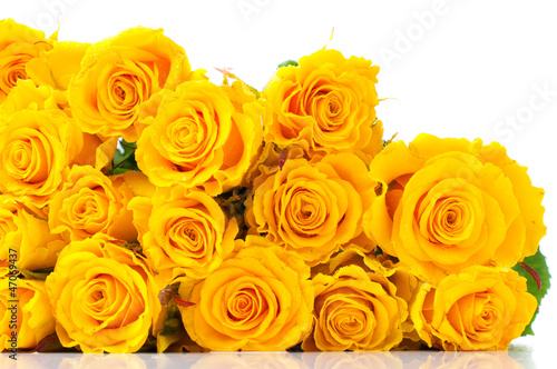 bouquet of yellow roses isolated