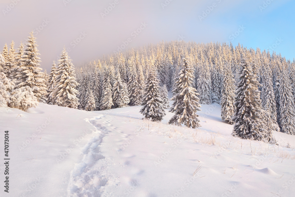 .Beautiful winter morning in the mountains .Beautiful winter morning in the mountains