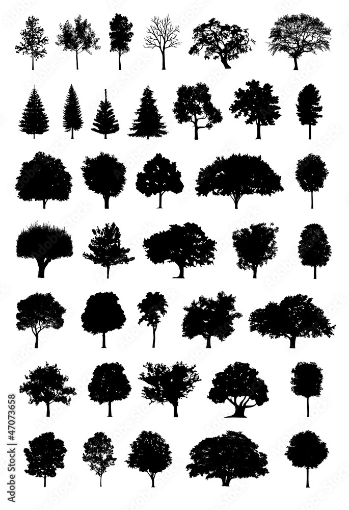 Obraz premium tree silhouette vector