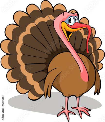 turkey