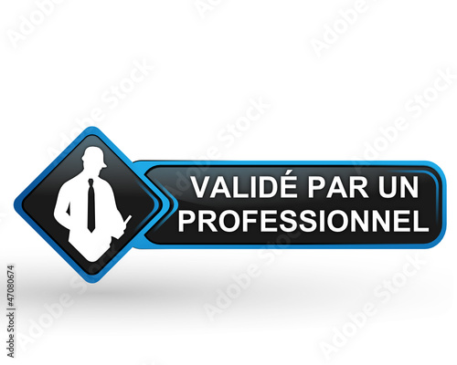 validé par un professionnel sur bouton web carré design bleu