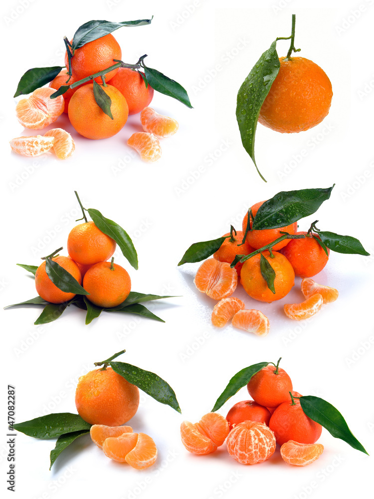 clementines with segments