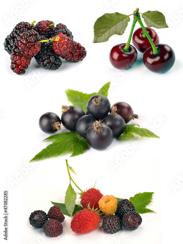 set of different berries