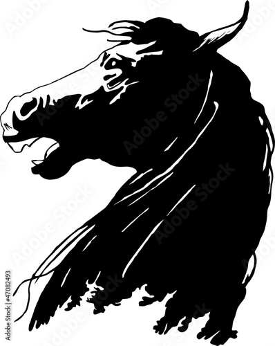 horse