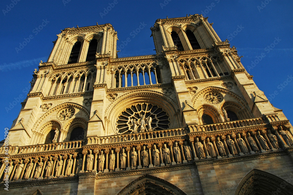 Cattedrale di Notre- Dame al tramonto, Ile de la Cité, Parigi