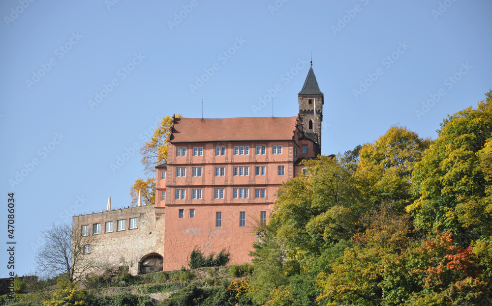 Burg in Hirschhorn