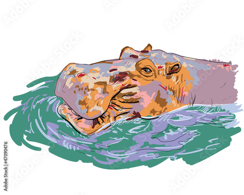 The hippopotamus soaks happily.