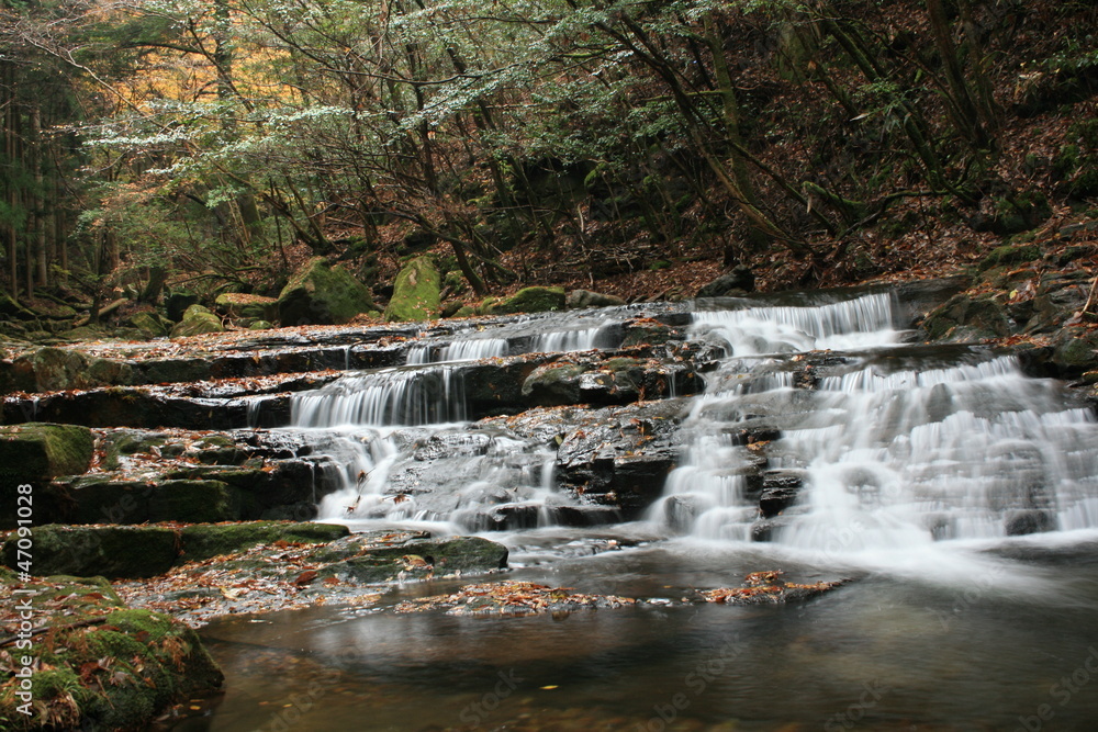 Obraz premium 赤目四十八滝 3