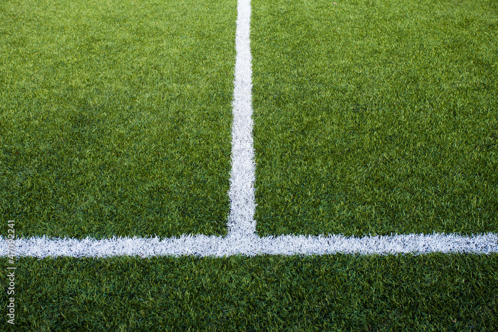 Obraz premium Soccer Field's Lines