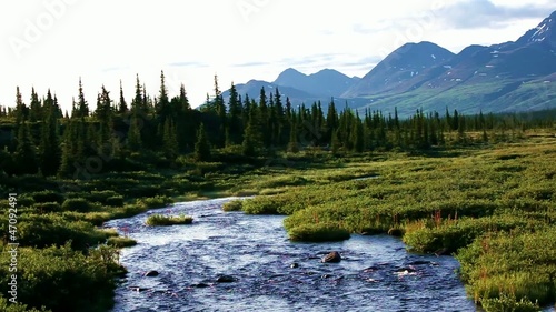 Creek in Alaska.Summer season