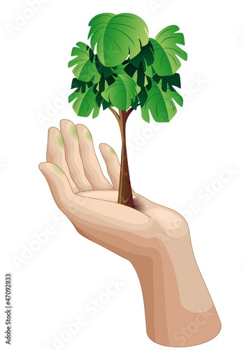 Hand with Growing Green Tree-Mano con Albero-Ecologia-Vector