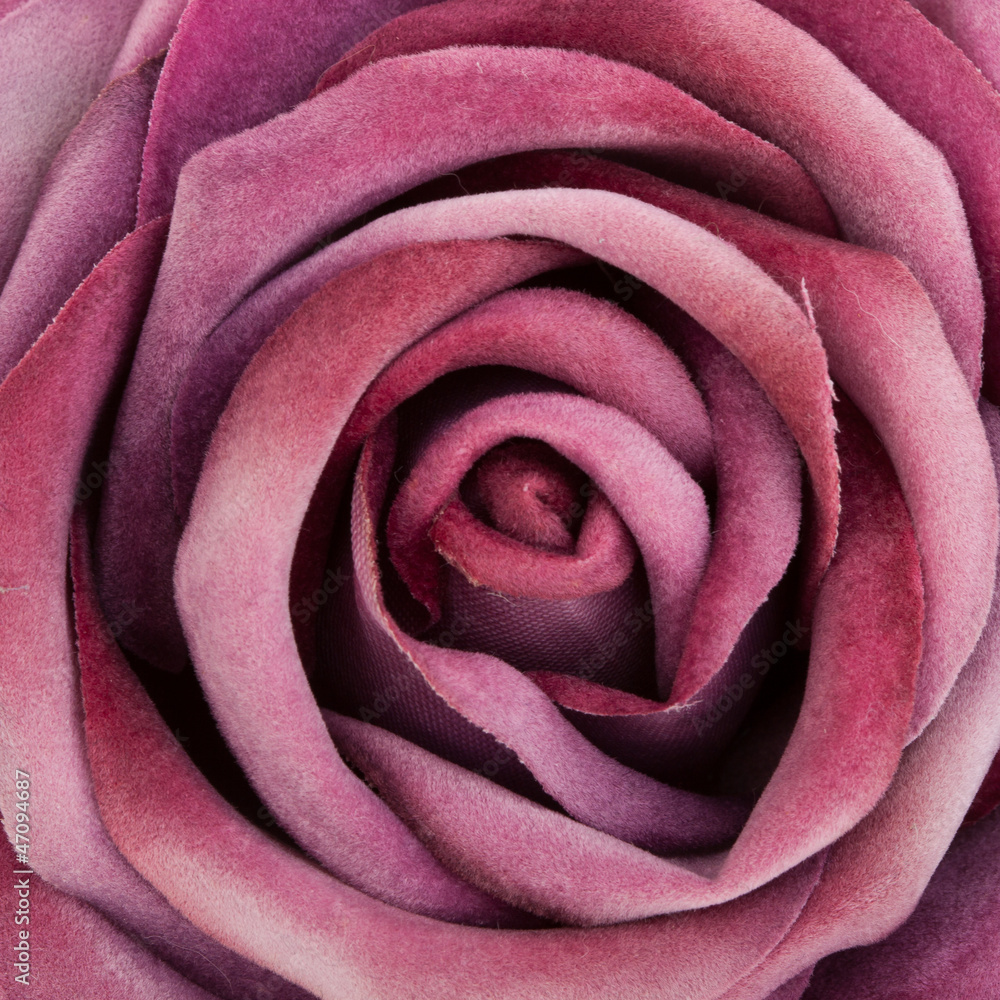 Close-up of a silk purple rose Close-up of a silk purple rose