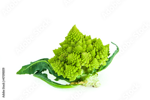 Brassica Oleracea / Romanesco broccoli / Roman cauliflower