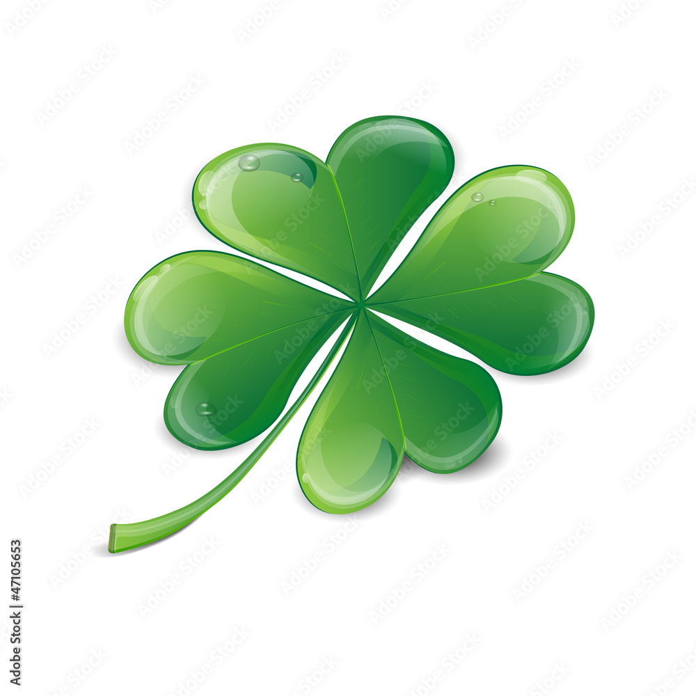 Clover leaf with drops of water on a white background