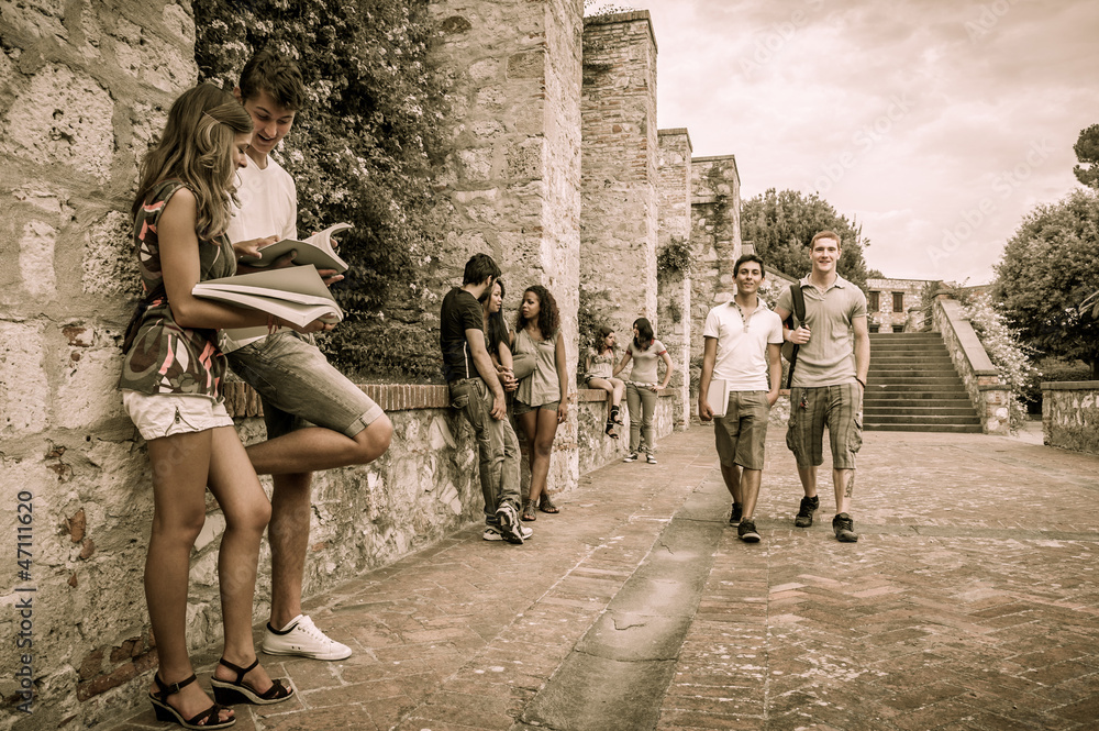 Obraz premium Group of students