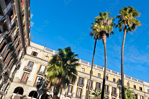 Palm trees at Placa Reial, Barcelona