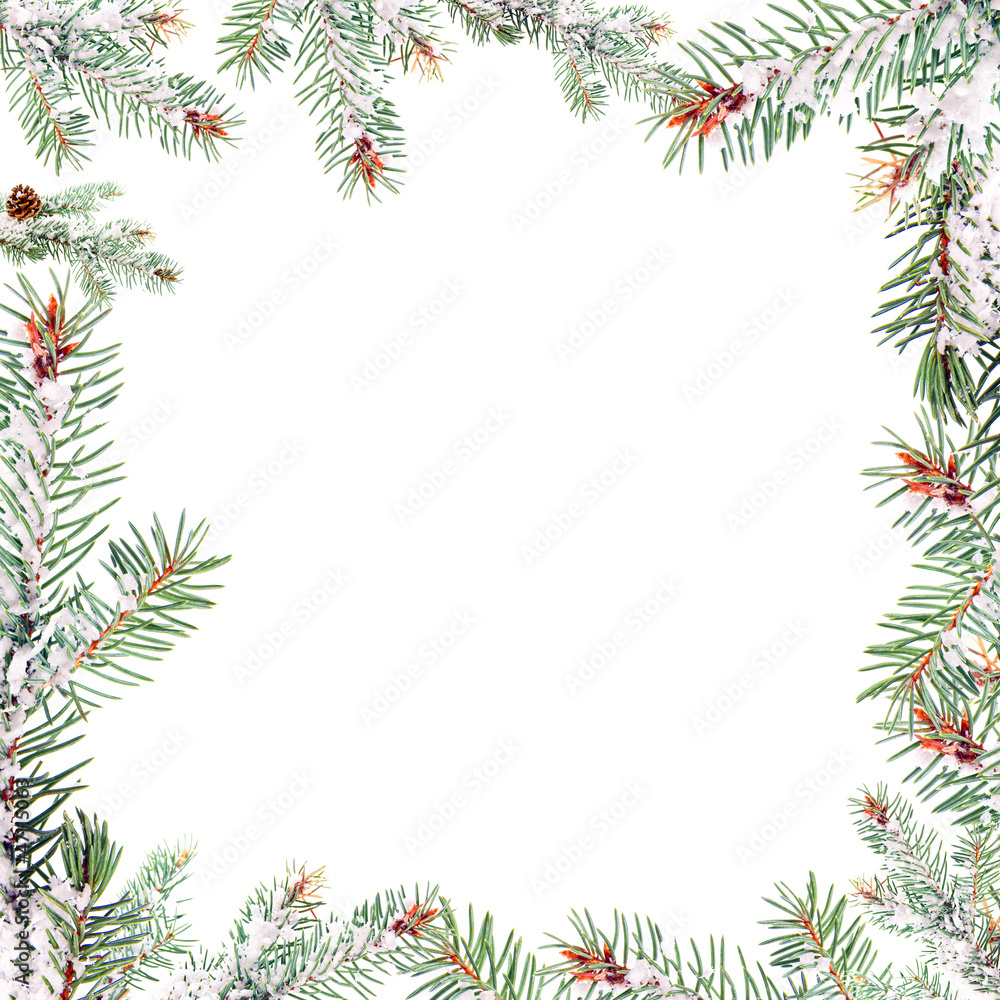 Frame - Fir Branch with snow Frame - Fir Branch with snow