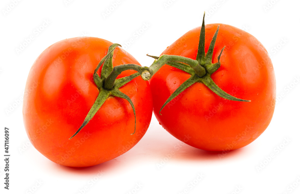 tomatoes with green leaves isolated on white background tomatoes with green leaves isolated on white background