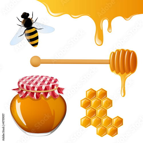 Vector Illustration of Honey Elements