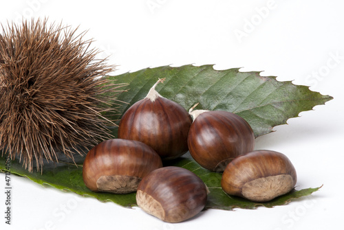 castagne photo