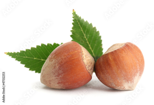 tasty hazelnuts with leaves, isolated on white