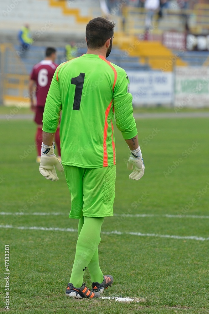 Fototapeta premium portiere