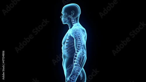 Transparent Human Body on black background, loop rotation