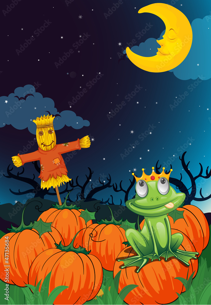 Fototapeta premium a scarecrow and frog