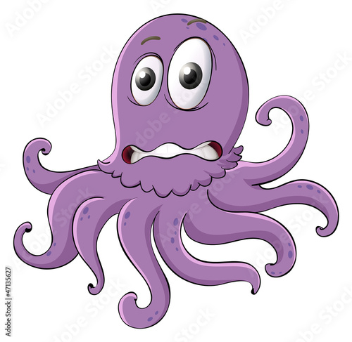 an octopus