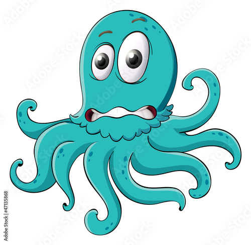 an octopus