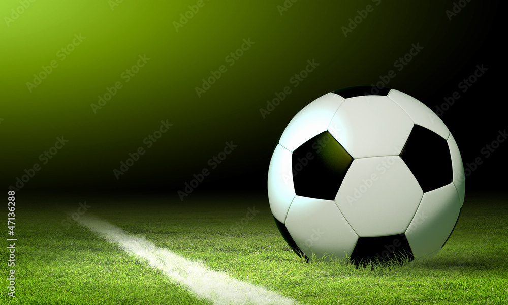 Fototapeta premium black and white soccer ball