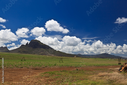 Fototapeta Naklejka Na Ścianę i Meble -  landscape of Mauritius
