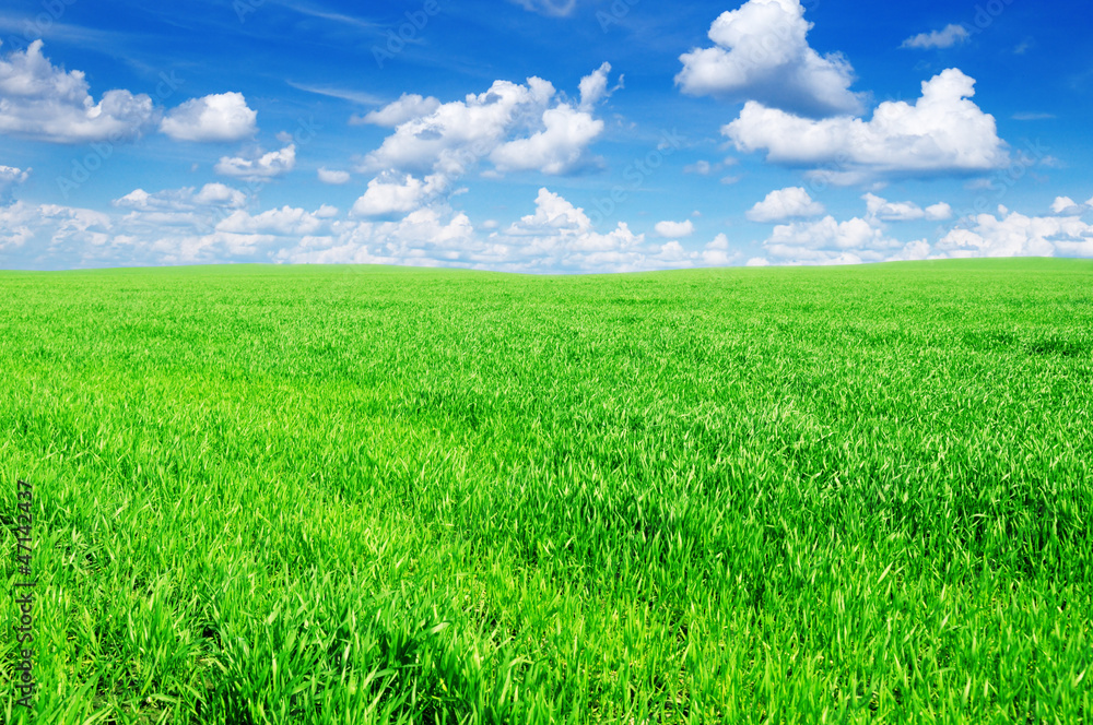 spring fields spring fields