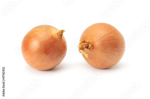 Wallpaper Mural onions isolated on white background Torontodigital.ca