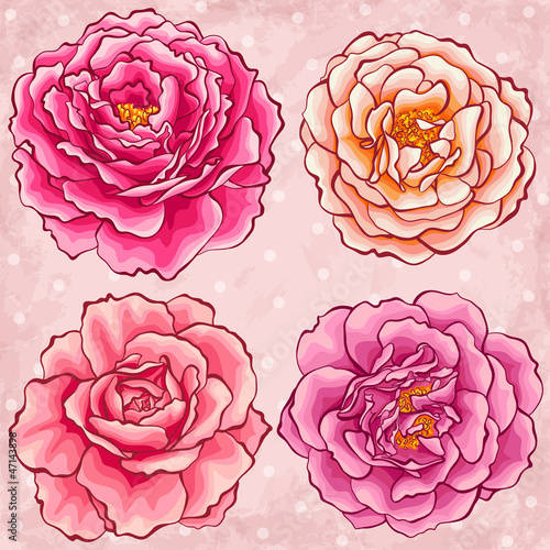 Hand drawn style garden roses