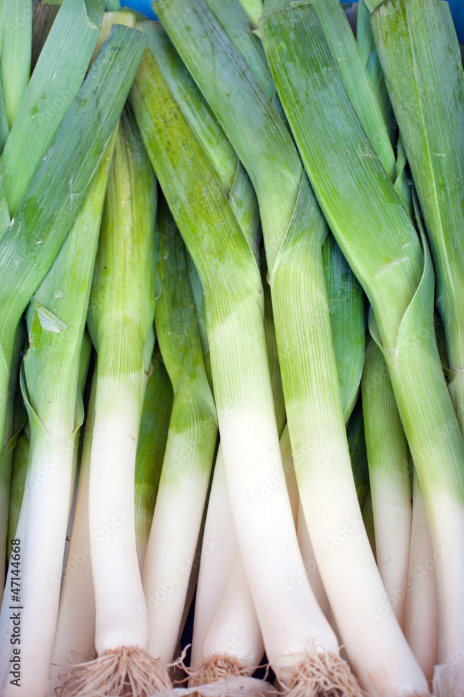 Fresh healthy bio leek on farmer market Fresh healthy bio leek on farmer market