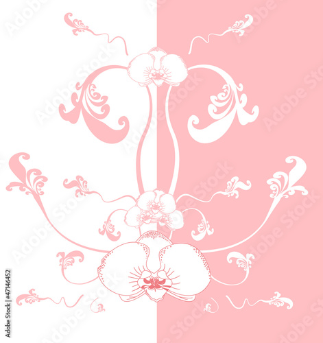 white and red pattern background with orchid flower