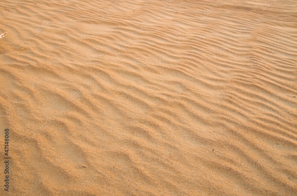 sandy sandy