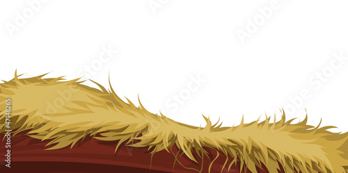 straw on a white background