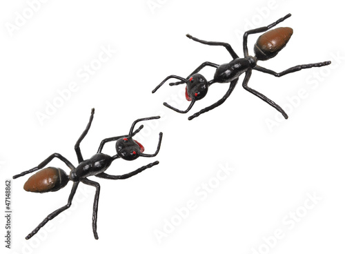 Plastic Toy Ants © fotomatrix