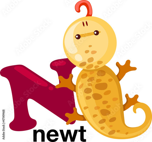 Animal alphabet letter - N 
