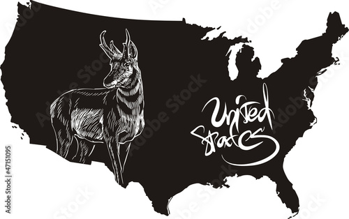 Pronghorn and U.S. outline map photo