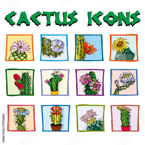 i cactus di Jacopo