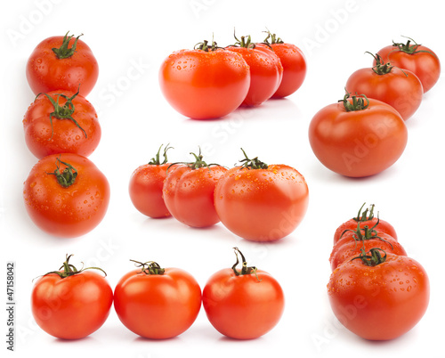 Tomatoes collection isolated on white