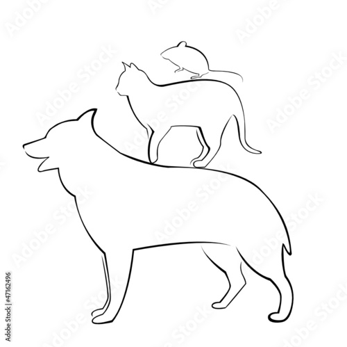 hundkatzemaus