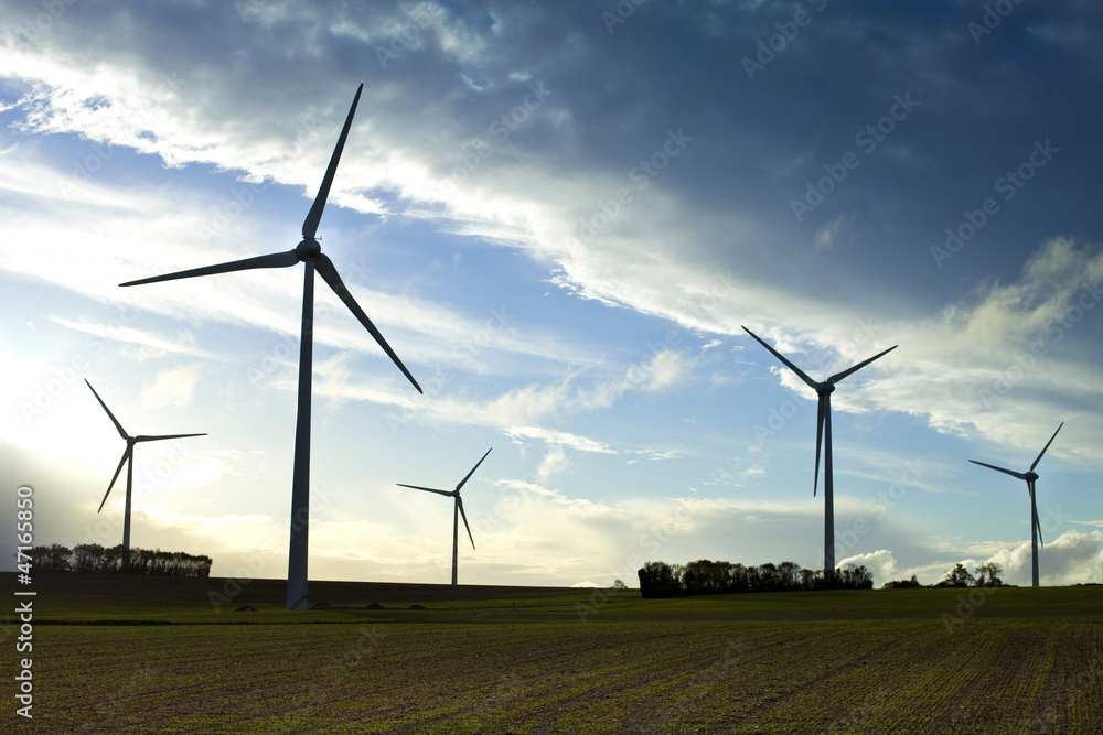 Obraz premium Campagne, énergie, éolienne, renouvelable, écologique