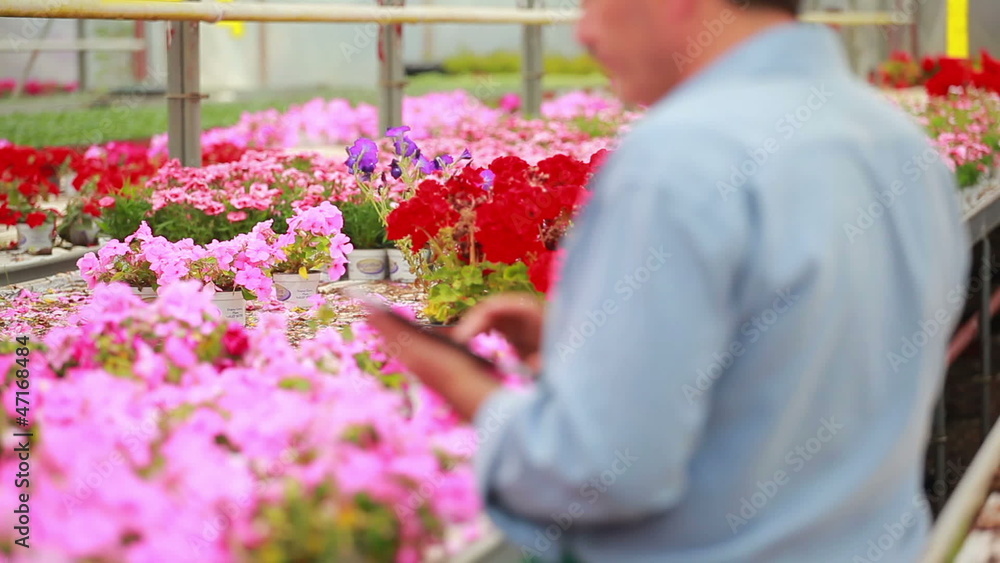 Man working at a greenhouse holding a tablet pc Man working at a greenhouse holding a tablet pc