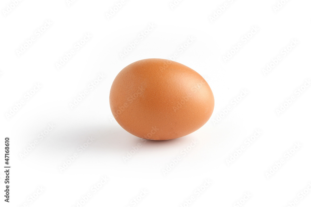 Single egg on white background Single egg on white background