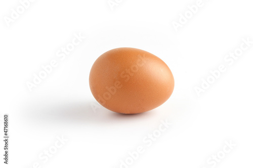 Single egg on white background