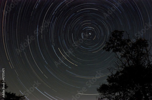 Startrail with tree silhouette at night